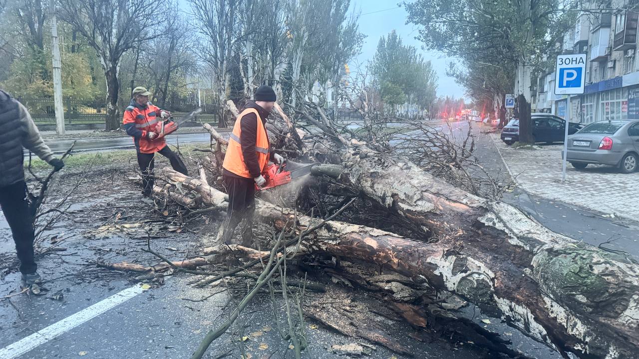 Сегодня, 28.10.2025, сотрудниками МУП АГОД ДНР "ЗЕЛЕНОЕ СТРОИТЕЛЬСТВО Г.ДОНЕЦКА", выполнены работы по уборке аварийных деревьев в Ленинском внутригородском районе города Донецка Сегодня, 28.10.2025, сотрудниками МУП АГОД ДНР "ЗЕЛЕНОЕ СТРОИТЕЛЬСТВО Г.ДОНЕЦКА", выполнены работы по уборке аварийных деревьев в Ленинском внутригородском районе города Донецка