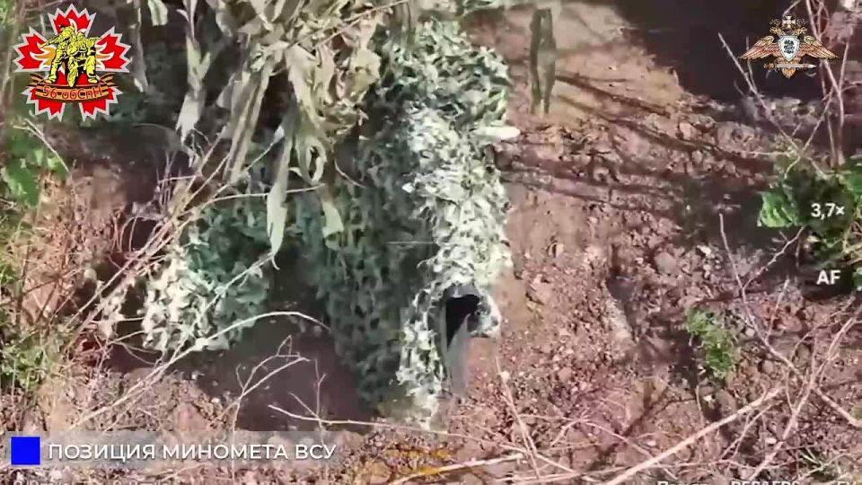 56 обСпН уничтожил 120-мм миномет ВСУ в Октябрьском