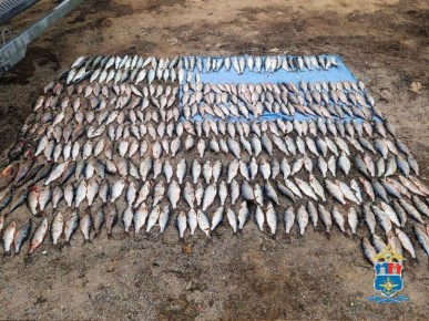 В Ростовской области в акватории Цимлянского водохранилища транспортными полицейскими пресечена деятельность браконьеров