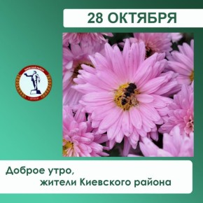 Валентин Левченко: По информации диспетчерской службы Киевского РЭС, из-за повреждения на трансформаторе, сегодня в 2:00
