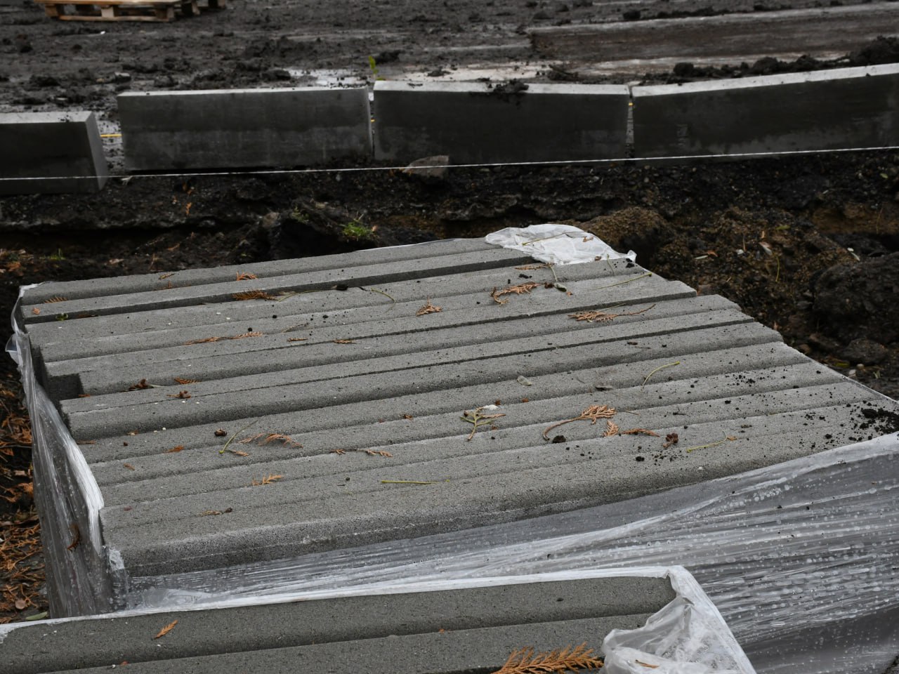 Сергей Назаров проверил благоустройство южной части парка «Победа» Сергей Назаров проверил благоустройство южной части парка «Победа»