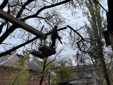 , 28 ,                    ...