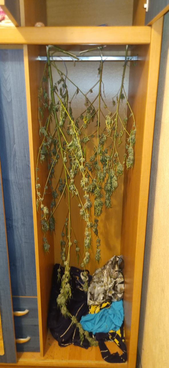 Стражи правопорядка изъяли несколько килограммов наркотиков у жителя столицы Республики Стражи правопорядка изъяли несколько килограммов наркотиков у жителя столицы Республики