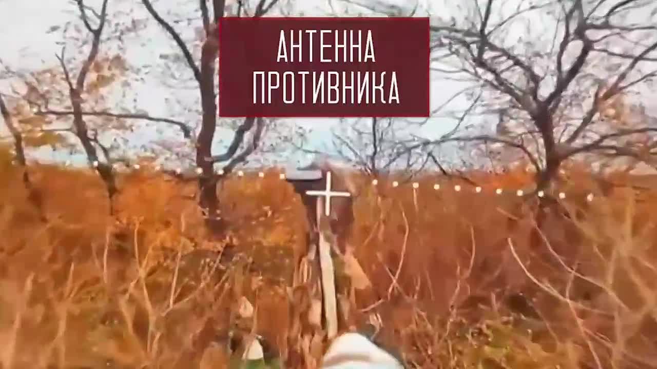 Под Красноармейском и Димитровом ВСУ несут тяжёлые потери — более 455 человек