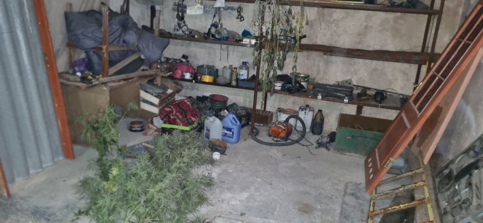 Стражи правопорядка изъяли несколько килограммов наркотиков у жителя столицы Республики Стражи правопорядка изъяли несколько килограммов наркотиков у жителя столицы Республики