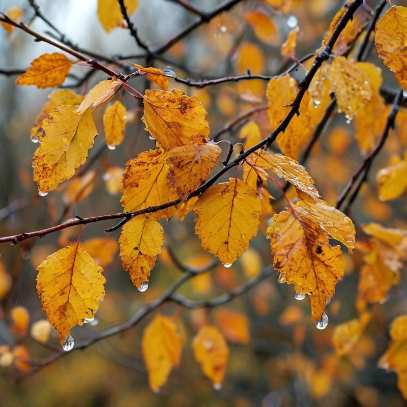 Глава ДНР: 1700 обследований жителей Республики уже провели с помощью ультрасовременного томографа в новом кабинете МРТ в Макеевке Глава ДНР: 1700 обследований жителей Республики уже провели с помощью ультрасовременного томографа в новом кабинете МРТ в Макеевке