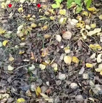 Два майора: Покровско-Константинововское направление