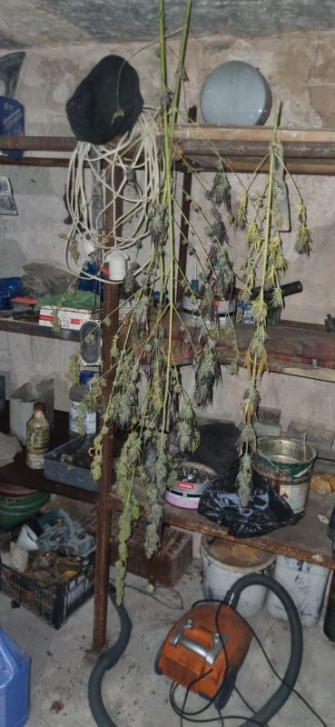 Стражи правопорядка изъяли несколько килограммов наркотиков у жителя столицы Республики Стражи правопорядка изъяли несколько килограммов наркотиков у жителя столицы Республики