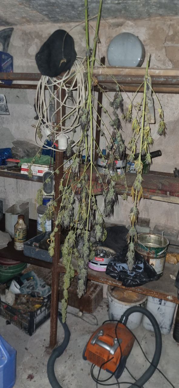 Стражи правопорядка изъяли несколько килограммов наркотиков у жителя столицы Республики Стражи правопорядка изъяли несколько килограммов наркотиков у жителя столицы Республики