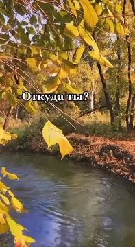 Наш любимый город. Ставьтеродному Донецку! ПОДПИСАТЬСЯ