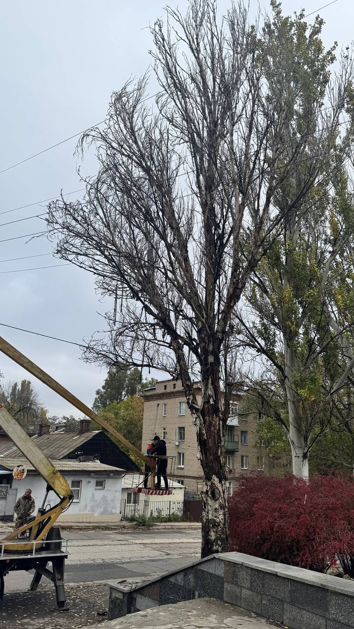Сегодня, 28.10.2025, сотрудниками МУП АГОД ДНР "ЗЕЛЕНОЕ СТРОИТЕЛЬСТВО Г.ДОНЕЦКА", выполнены работы по уборке аварийных деревьев в Ленинском внутригородском районе города Донецка