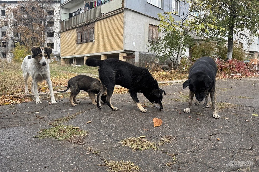 «Родился в войну, в войну доживаю» «Родился в войну, в войну доживаю»