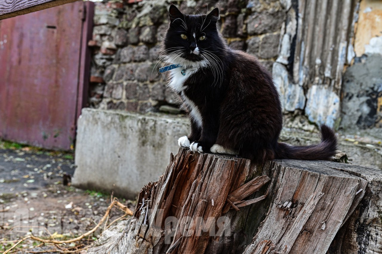 Туда, где зарождался город: прогулка по старому кварталу в центре Донецка