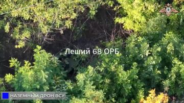 68 орб громит инфраструктуру и технику ВСУ в районе Русин Яра