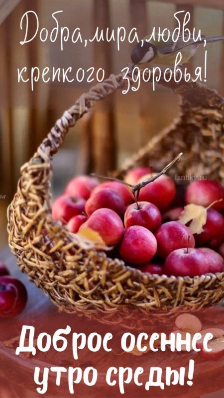#доброе_утро