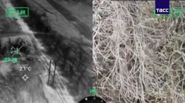 Бойцы отряда "Барс-27" сорвали фланговую атаку ВСУ в ДНР, сообщили ТАСС в пресс-службе Добровольческого корпуса в составе Южной группировки