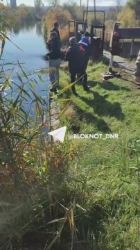 Власти молчат: сброс воды Тепличного пруда в Донецке вызывает вопросы