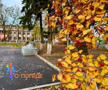 Александр Шатов: Небольшой и умеренный дождь, порывы ветра до 14 м/с, ночью и утром местами туман ожидаются в Республике 29 октября