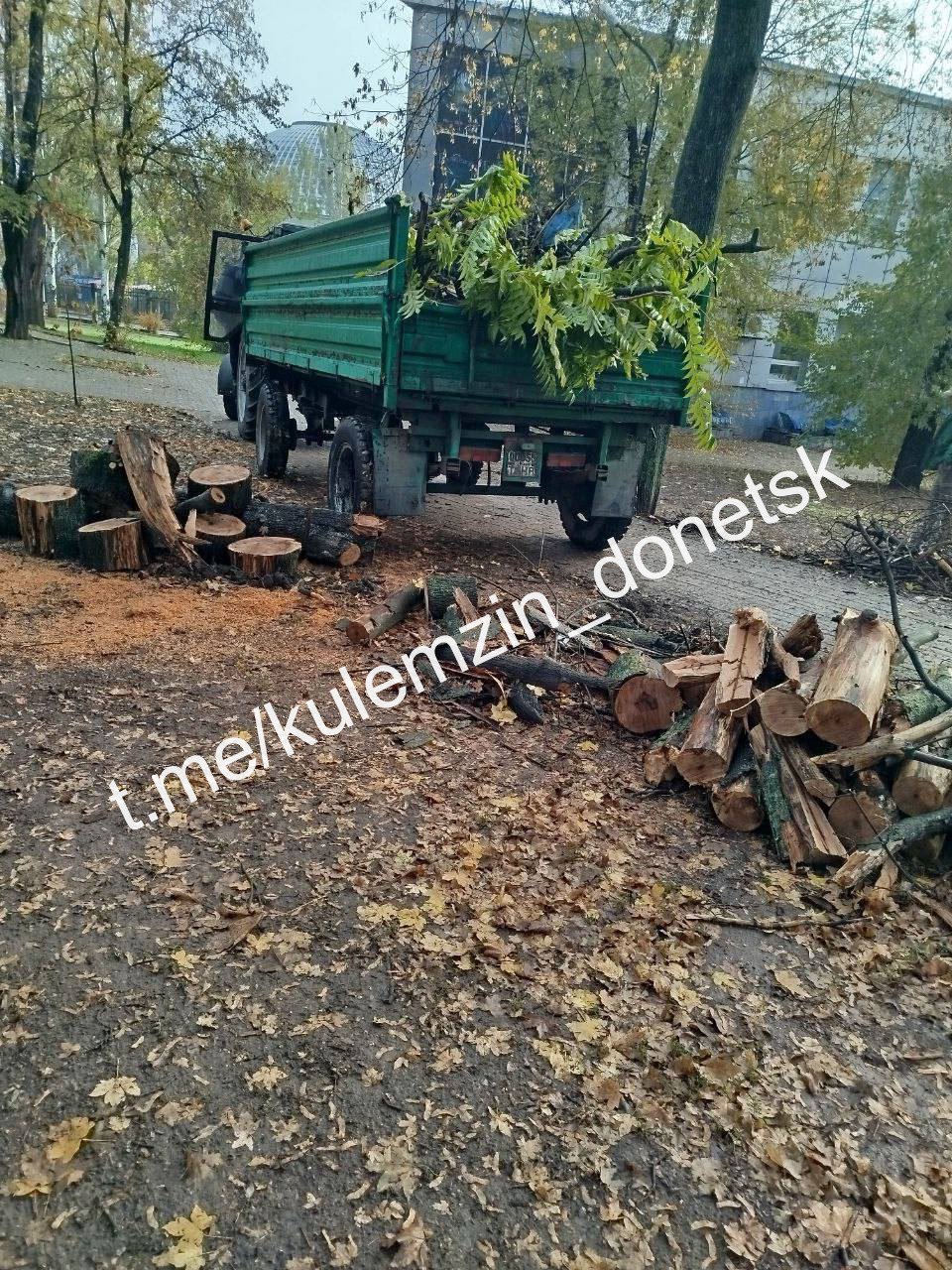 Благоустройство в нашем городе продолжается Благоустройство в нашем городе продолжается