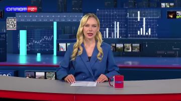 Комплексную операцию «Нелегал-2025» на территории ДНР провели сотрудники МВД, ФСБ и Росгвардии