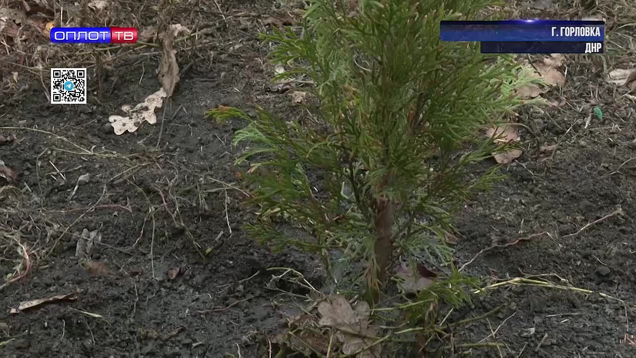 Акция «Аллея единства» подарила детскому центру зеленую зону