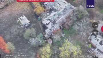 Юрий Котенок: Четыре бандерлога постучали не в ту дверь