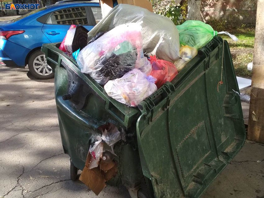 Мясной беспредел: магазин «Цыпа» в Макеевке разбрасывает помои по всему двору Мясной беспредел: магазин «Цыпа» в Макеевке разбрасывает помои по всему двору