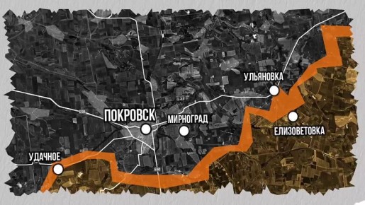 WarGonzo: Как применяет боевых коней на ЛБС спецназ «Шторм»