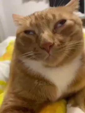 Утро. Состояние перед работой ощущается примерно так