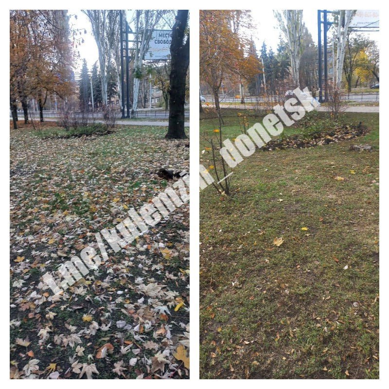 Алексей Кулемзин: Специалисты коммунального предприятия «Зелёное строительство» продолжают благоустройство во всех районах нашего города Алексей Кулемзин: Специалисты коммунального предприятия «Зелёное строительство» продолжают благоустройство во всех районах нашего города