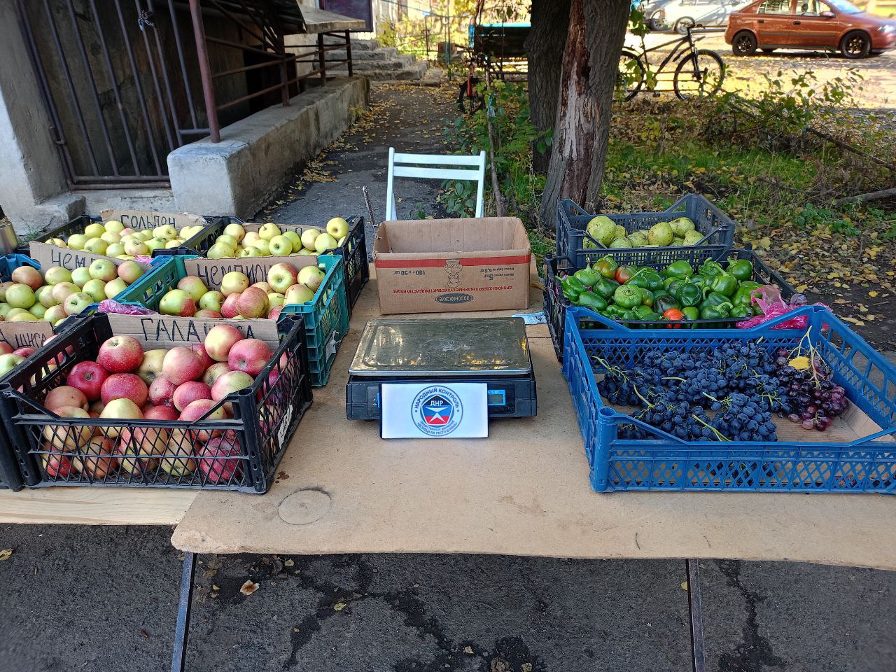 Николай Михайлов: В поселке Новый Свет Старобешевского муниципального округа прошла проверка с целью пресечения стихийной торговли