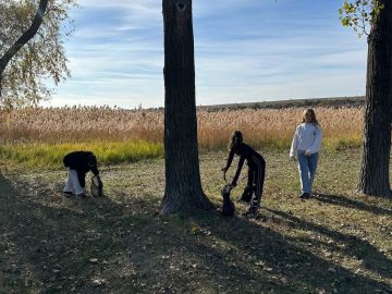  8   "  10 .. "  ,    ,        