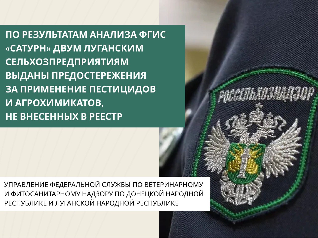 В октябре текущего года сотрудниками Управления Россельхознадзора по Донецкой Народной Республике и Луганской Народной Республике в ходе мониторинга ФГИС «Сатурн» были выявлены факты использования в ЛНР препаратов, не...