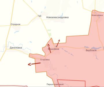 Российские войска на Днепропетровском направлении совершили важный тактический прорыв, освободив село Вишневое к северу от основной линии обороны ВСУ