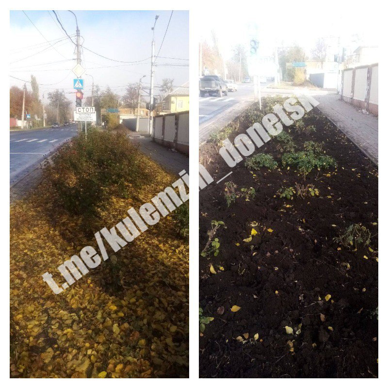 Специалисты коммунального предприятия «Зелёное строительство» продолжают благоустройство во всех районах нашего города