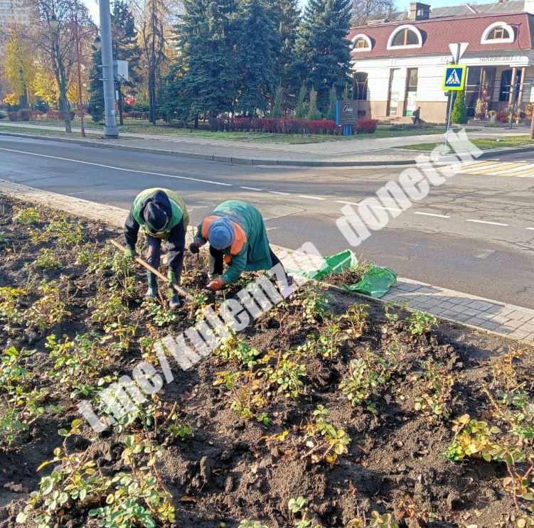 Специалисты коммунального предприятия «Зелёное строительство» продолжают благоустройство во всех районах нашего города Специалисты коммунального предприятия «Зелёное строительство» продолжают благоустройство во всех районах нашего города