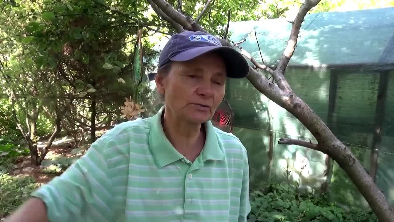 «МЫ РУССКИЕ» История донецкого спасателя