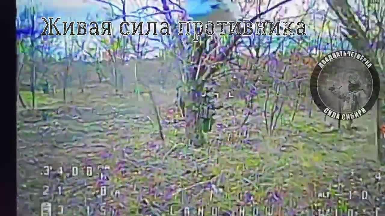 Александр Коц: Засади врагу в «Бабу Ягу». Ваш любимый отряд спецназа «Вега» радует свежими кадрами объективного контроля с покровского направления