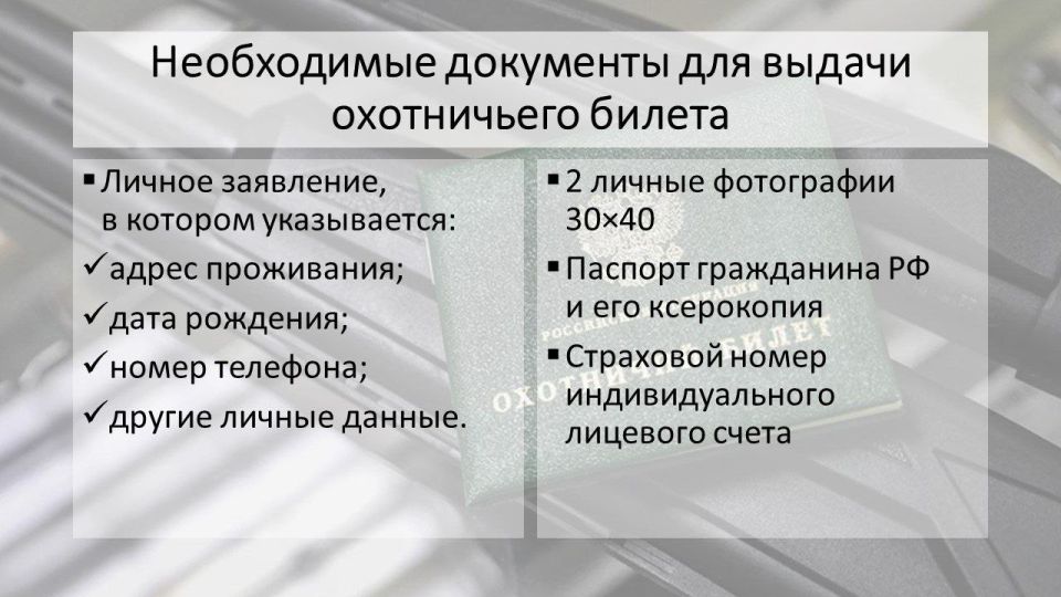 Минприроды ДНР организовано получение охотничьего билета через МФЦ Минприроды ДНР организовано получение охотничьего билета через МФЦ