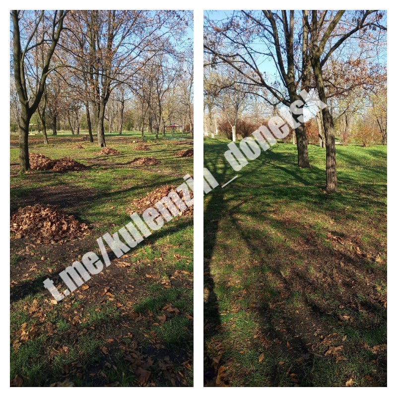 Алексей Кулемзин: Специалисты коммунального предприятия «Зелёное строительство» продолжают благоустройство во всех районах нашего города Алексей Кулемзин: Специалисты коммунального предприятия «Зелёное строительство» продолжают благоустройство во всех районах нашего города