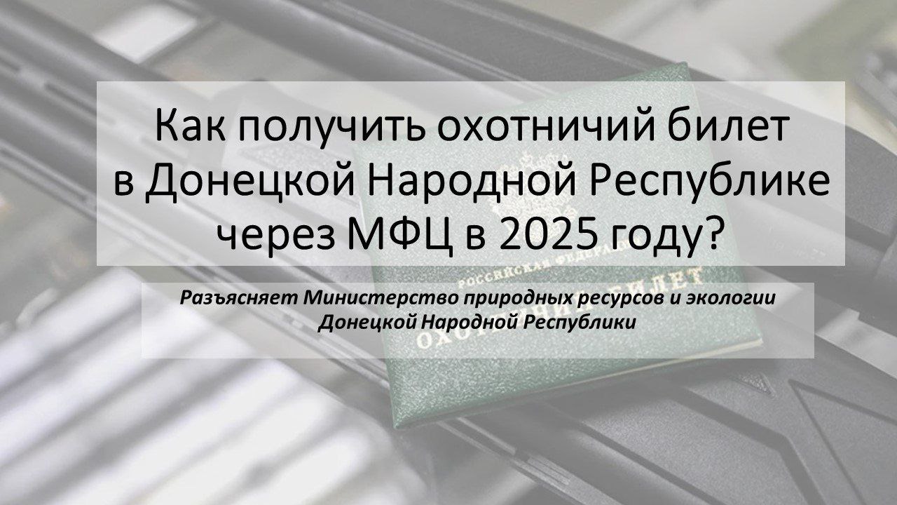 Подать документы для получения охотничьего билета теперь можно через отделения МФЦ