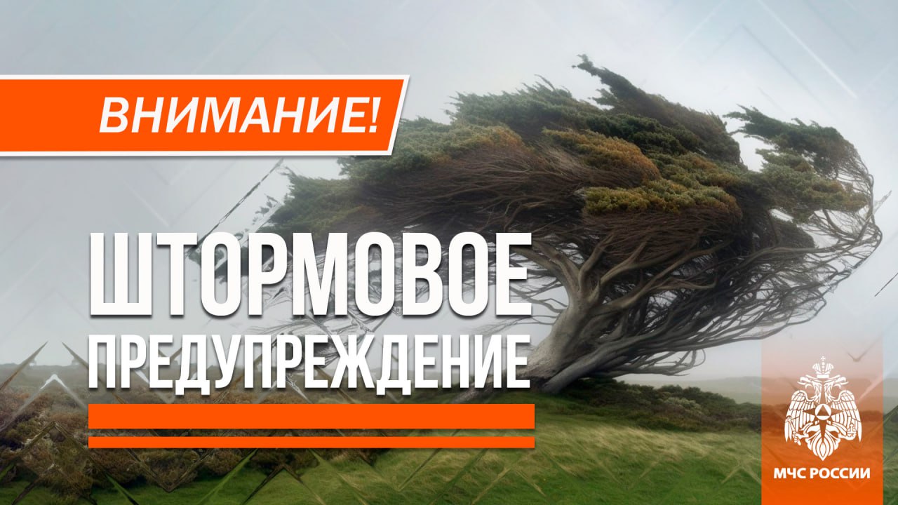 Небольшой и умеренный дождь, порывы ветра до 18 м/с, ночью и утром местами туман в ДНР, по акватории Азовского моря небольшой дождь, порывы ветра до 14 м/с, ночью и утром местами туман ожидаются 31 октября