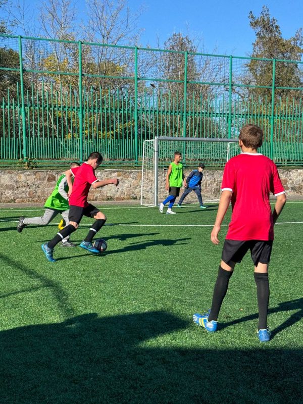 29   .    -,     &quot; &quot;     