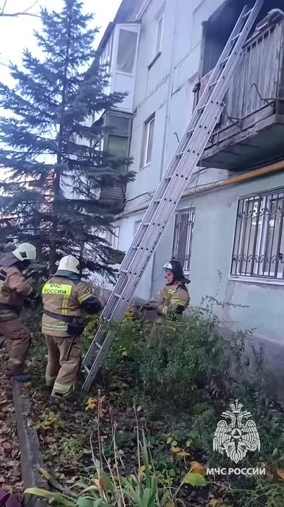Донецкие огнеборцы ликвидировали пожар в Куйбышевском районе