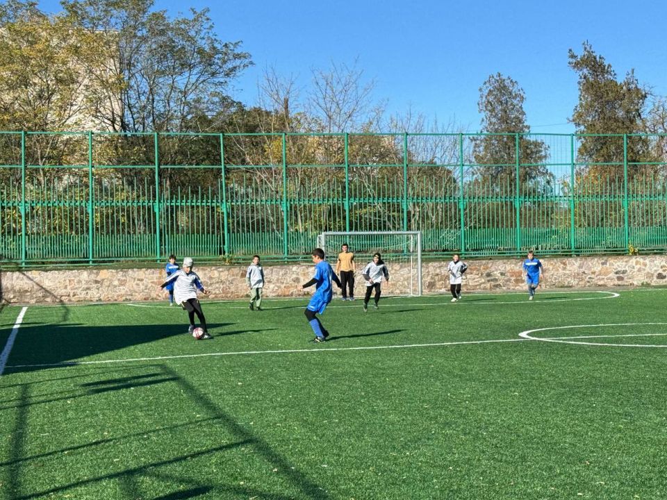 29   .    -,     &quot; &quot;     