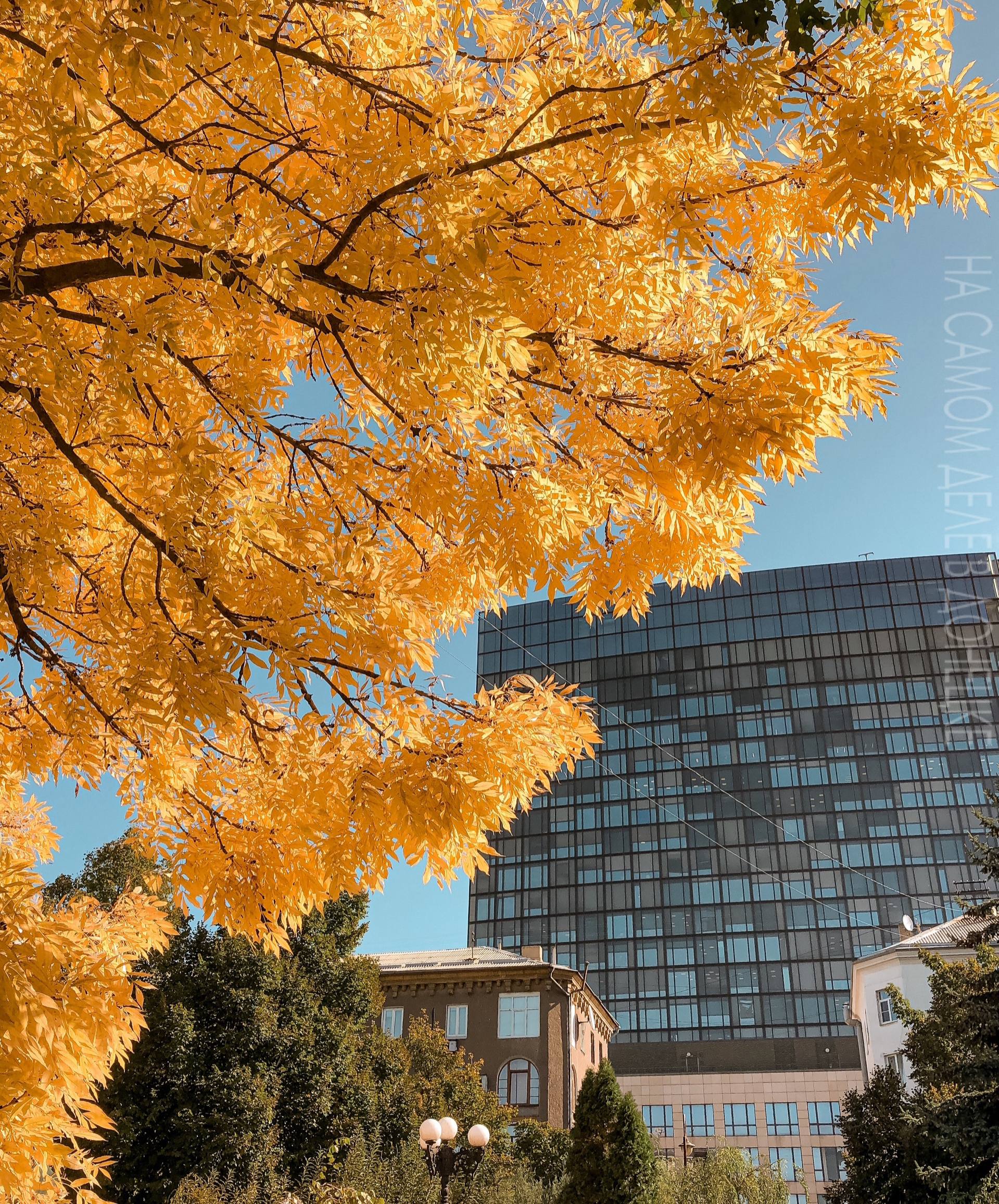 Мирного дня, Донецк!. Приглашение западных СМИ в котлы ВСУ поможет избежать инсценировок, как в Буче, заявила ТАСС зампредседателя комитета СФ по международным делам Никонорова