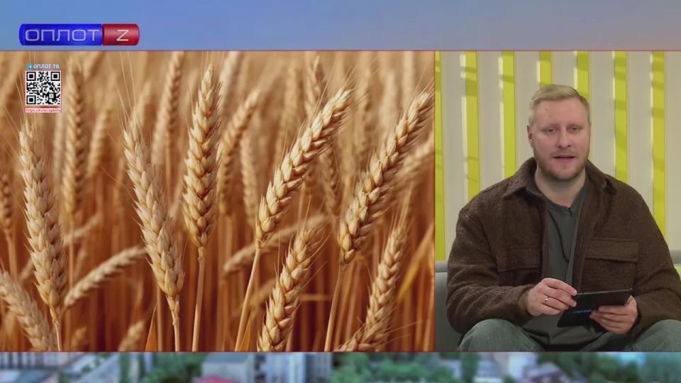 В Старобешевском округе построят крупные комплексы для хранения зерна