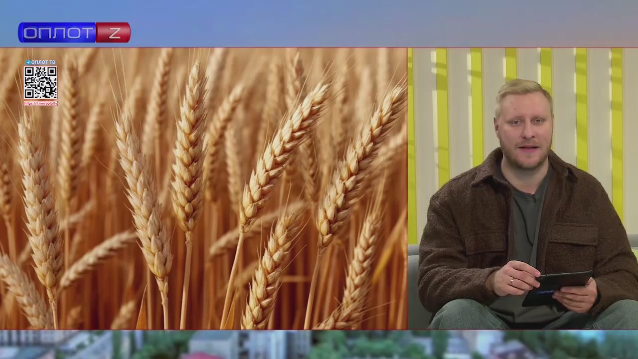 В Старобешевском округе построят крупные комплексы для хранения зерна