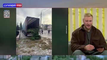 Красавицы из Донбасса вышли в финал конкурса «Мисс и Миссис Россия Земля 2025»