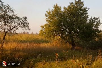 Удачного дня!. #НашОкруг #ЕнакиевоВобъективе